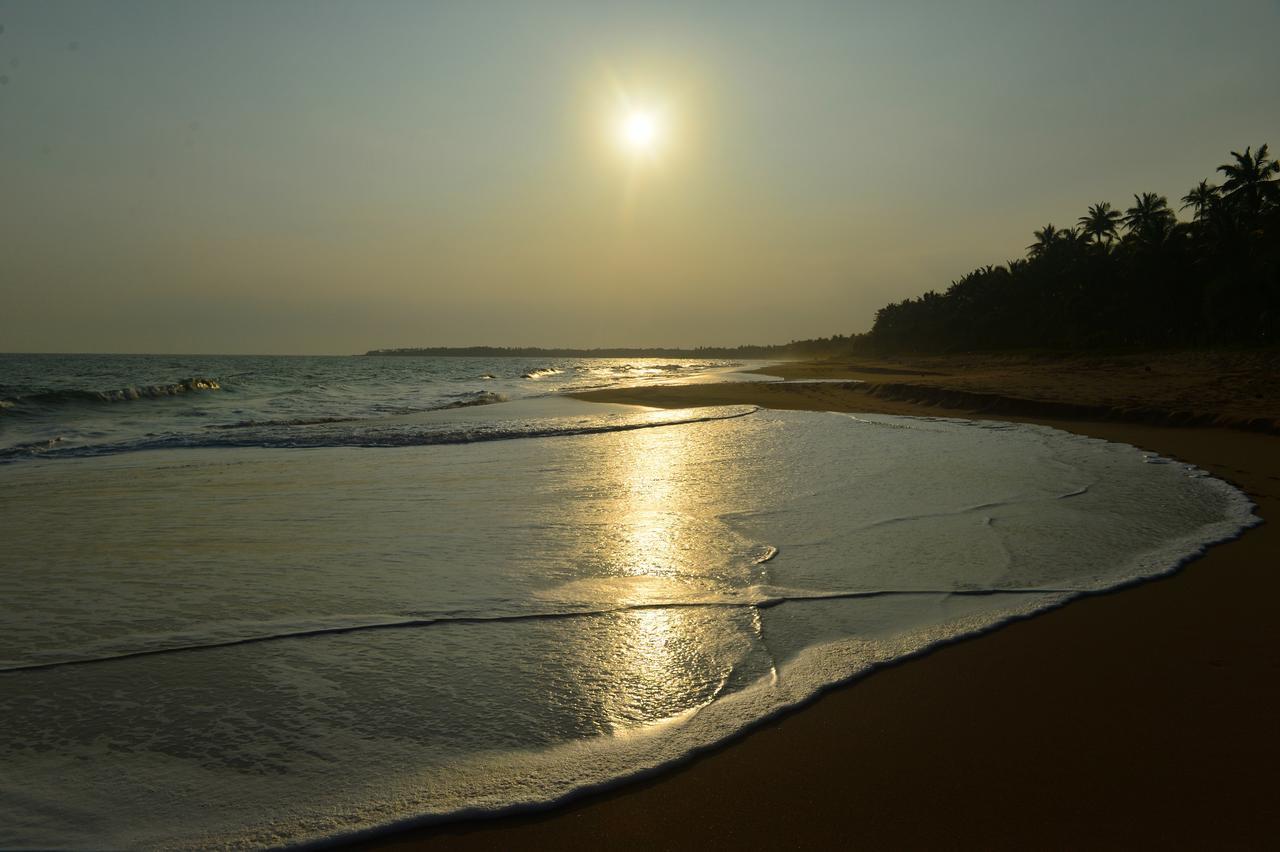 Darwins Beach Resort Tangalle Zimmer foto