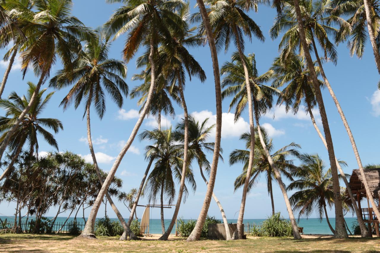 Darwins Beach Resort Tangalle Exterior foto